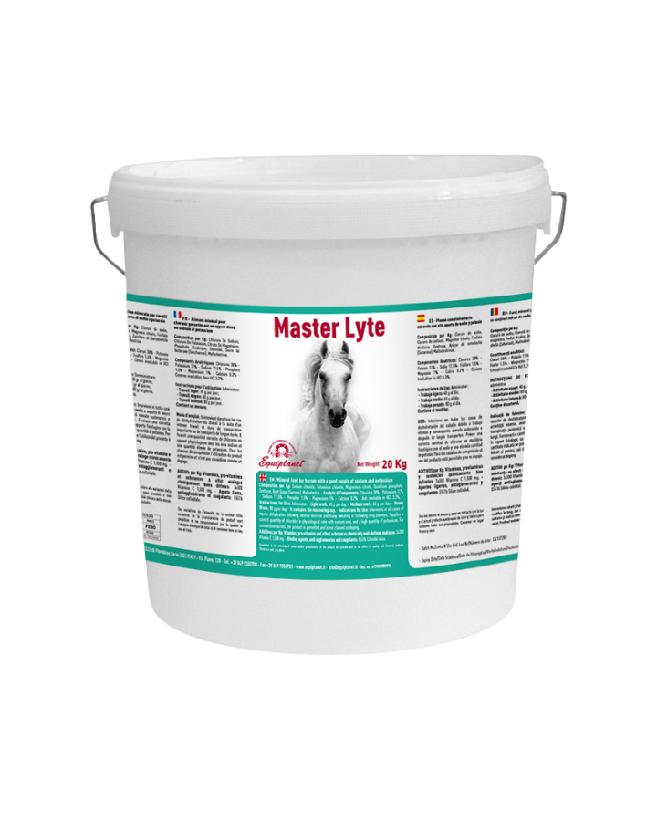 Master Lyte